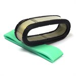 Kit de filtreur air Briggs (394019,272490)