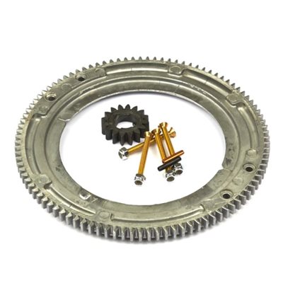 ring gear Briggs Stratton ring gear Briggs Stratton
