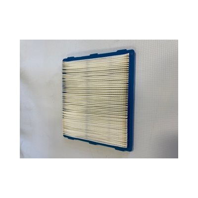 filtre air Briggs