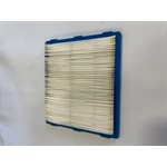 filtre air Briggs